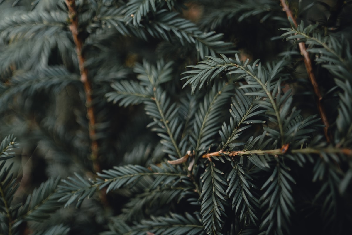 연애 레드 플래그 — 위험 신호 감지
