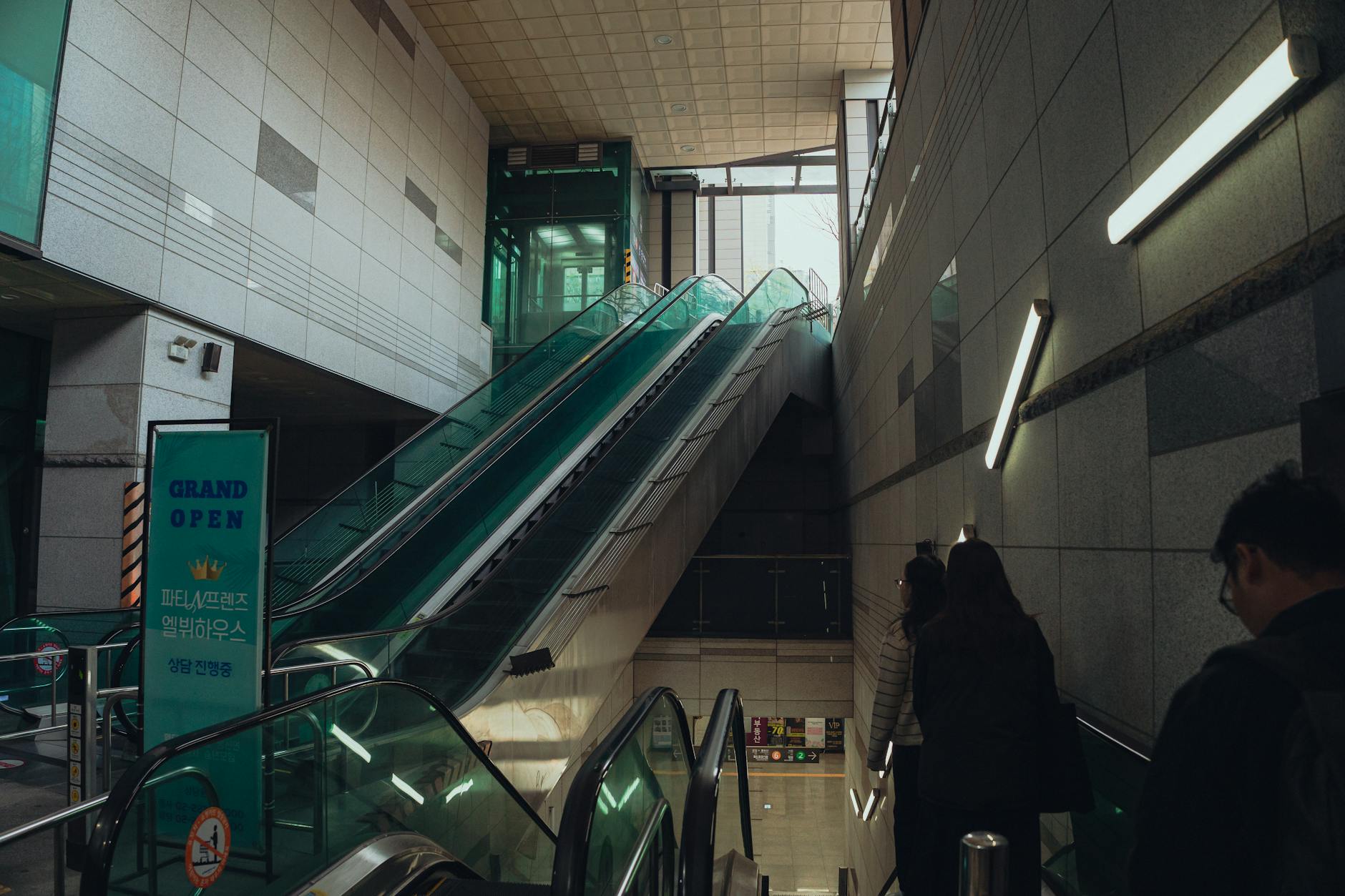 Korea Professional Perspective