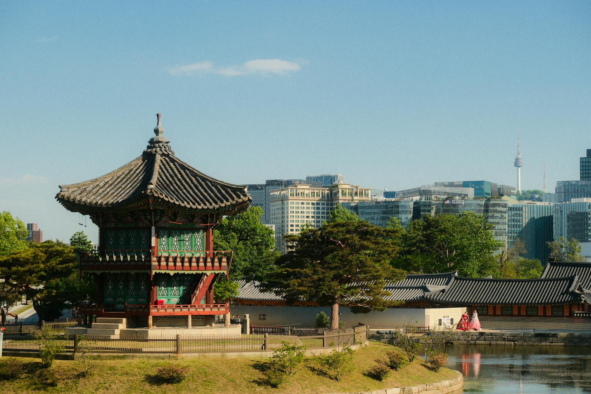 Korea Professional Perspective