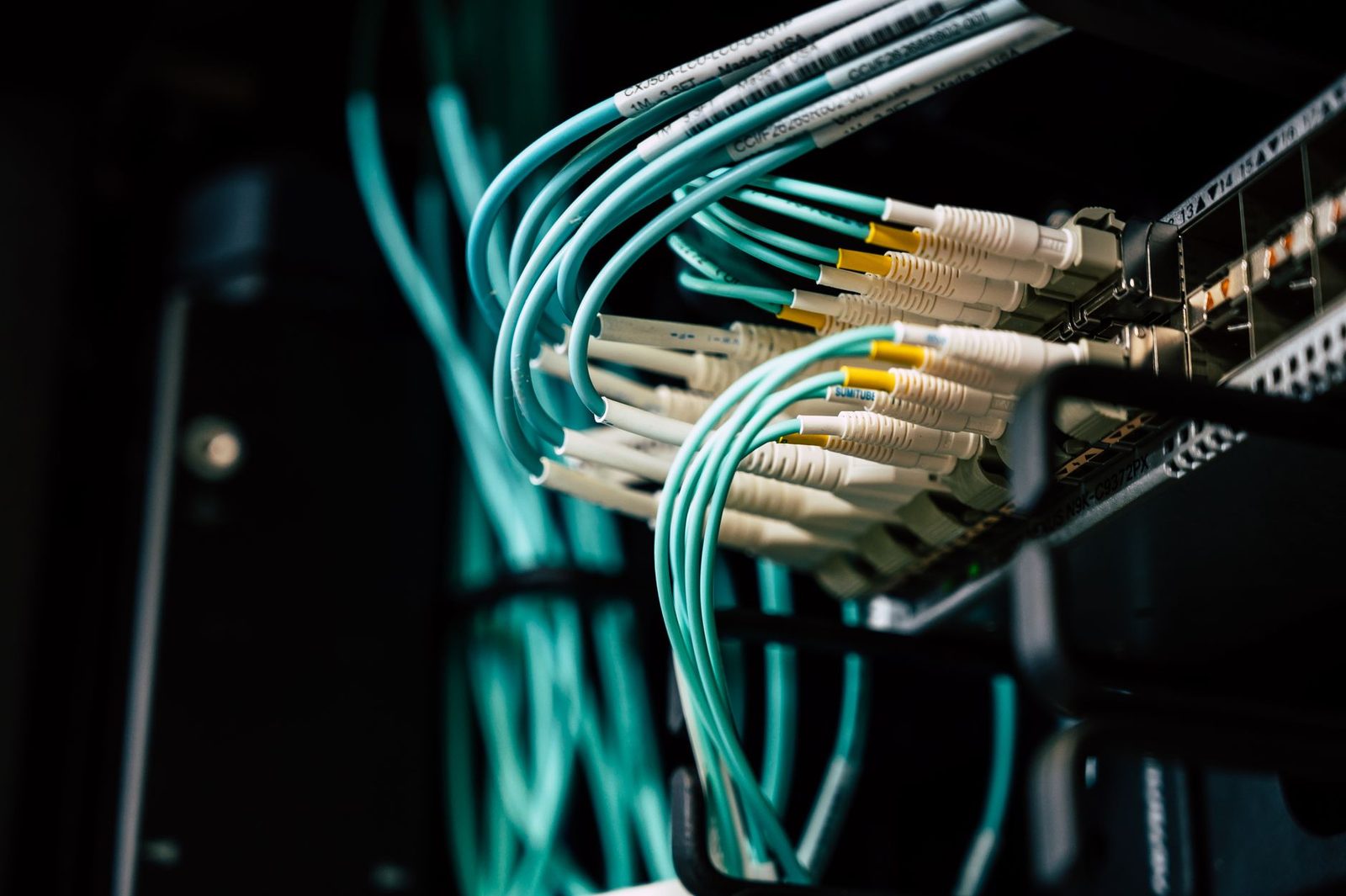server room network cables and blinking status lights in...